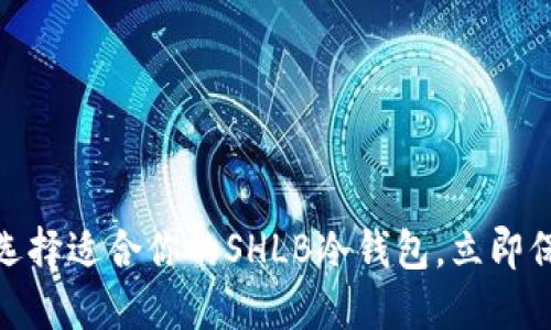 2025必看！如何选择适合你的SHLB冷钱包，立即保护你的数字资产