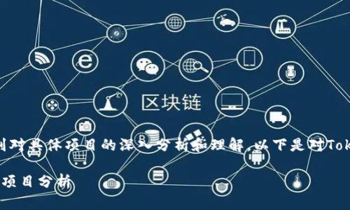 关于Tokenim是否为骗局的问题，这涉及到对具体项目的深入分析和理解。以下是对Tokenim和类似项目进行评估的一些关键点。

### Tokenim：2025必看的最新区块链项目分析