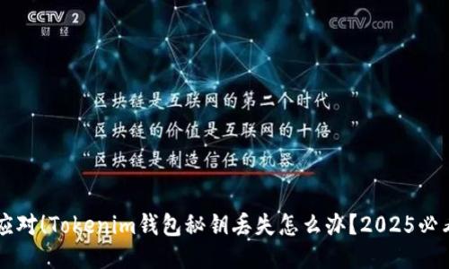紧急应对！Tokenim钱包秘钥丢失怎么办？2025必看指南