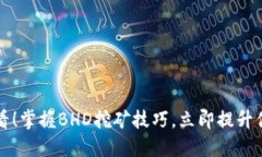 2025必看！掌握BHD挖矿技巧，立即提升你的收益！