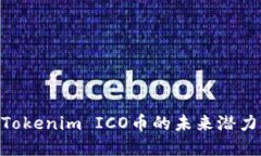 2025必看：Tokenim ICO币的未来潜力与投资机会