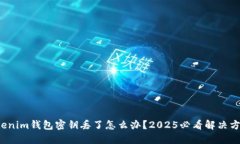 Tokenim钱包密钥丢了怎么办？2025必看解决方案！
