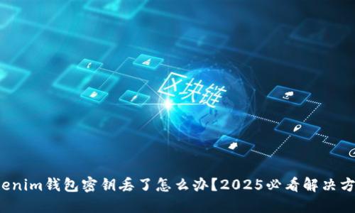 Tokenim钱包密钥丢了怎么办？2025必看解决方案！