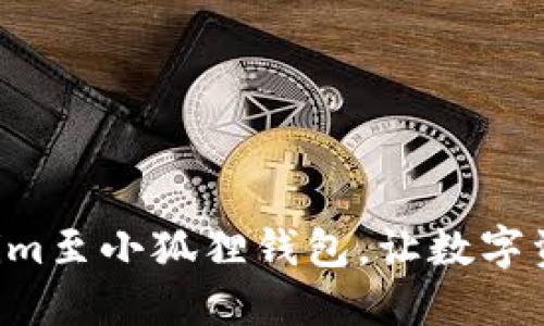 立即导入Tokenim至小狐狸钱包，让数字资产管理更轻松！