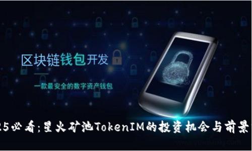 2025必看：星火矿池TokenIM的投资机会与前景分析