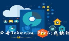 立即体验！2025必看Tokenim Pro6：区块链金融工具的