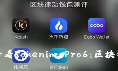 立即体验！2025必看Tokenim Pro6：区块链金融工具的未来