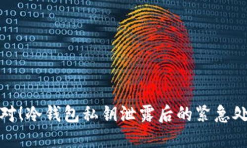 立即应对！冷钱包私钥泄露后的紧急处理措施