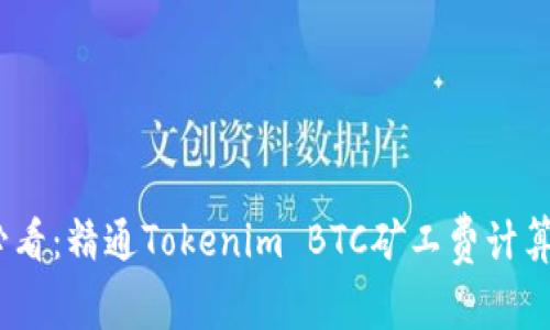 2025必看：精通Tokenim BTC矿工费计算与策略