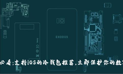 2025必看：支持iOS的冷钱包推荐，立即保护你的数字资产