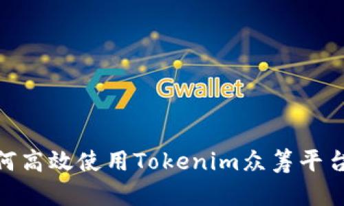 2025必看：如何高效使用Tokenim众筹平台进行项目融资
