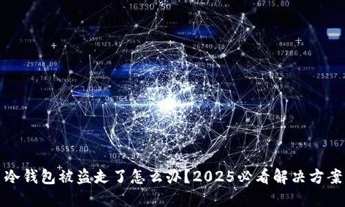 冷钱包被盗走了怎么办？2025必看解决方案