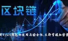 2025必看：深入解析Bybit钱包的使用与安全性，立