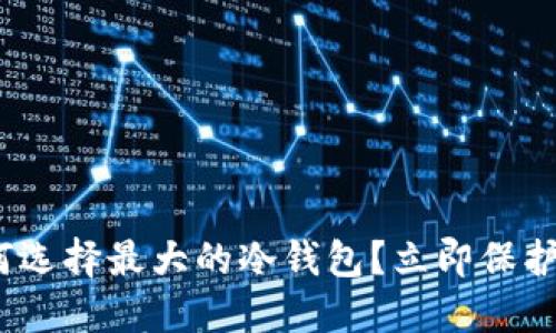 2025必看：如何选择最大的冷钱包？立即保护你的数字资产！