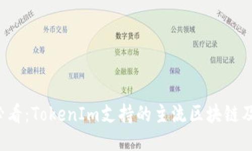 2025必看：TokenIm支持的主流区块链及其应用