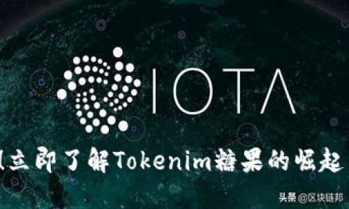 2025必看！立即了解Tokenim糖果的崛起与未来潜力