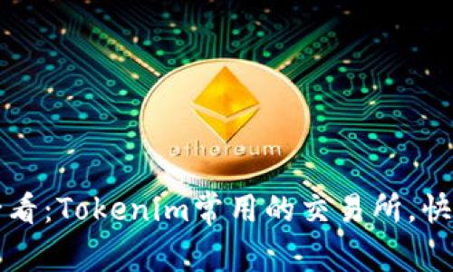 2025必看：Tokenim常用的交易所，快速了解！