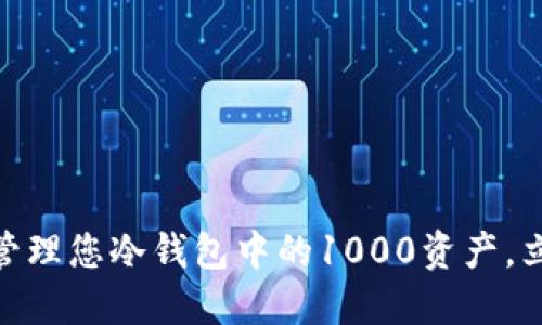 2025必看：如何安全管理您冷钱包中的1000资产，立即掌握投资保护技巧