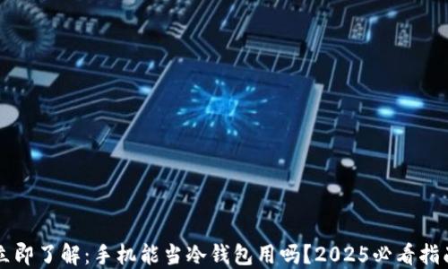 
立即了解：手机能当冷钱包用吗？2025必看指南