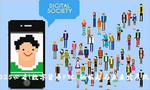 2025必看！数字货币PTCL的崛起与未来发展现状
