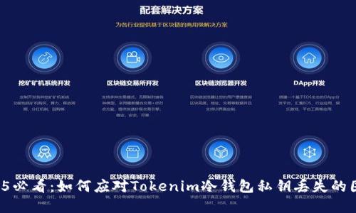 2025必看：如何应对Tokenim冷钱包私钥丢失的困境！