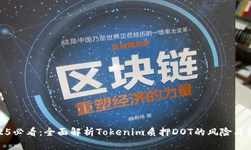 2025必看：全面解析Tokenim质押DOT的风险与机遇