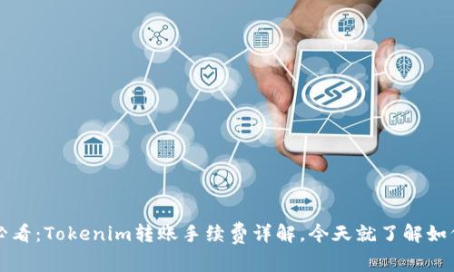 2025必看：Tokenim转账手续费详解，今天就了解如何省钱！
