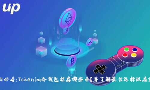 2025必看：Tokenim冷钱包能存哪些币？并了解最佳选择现在就来！