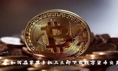 2025必看：如何在苹果手机上立即下载数字货币交易所应用
