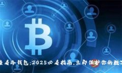如何查看冷钱包：2025必看指南，立即保护你的数