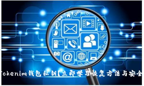 忘记Tokenim钱包私钥？立即学习恢复方法与安全建议！