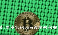 2025必看：货币Tokenim到账时间解析与技巧