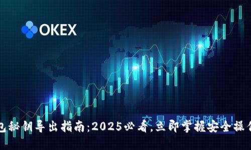 冷钱包秘钥导出指南：2025必看，立即掌握安全操作技巧