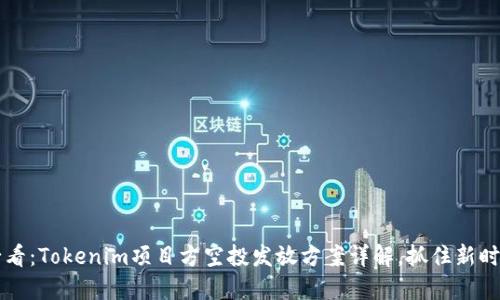 2025必看：Tokenim项目方空投发放方案详解，抓住新时代机遇!