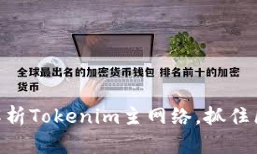 2025必看：深入解析Tokenim主网络，抓住区块链未来的机遇