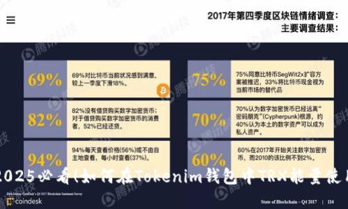 2025必看！如何在Tokenim钱包中TRX能量使用