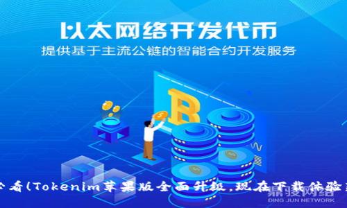 2025必看！Tokenim苹果版全面升级，现在下载体验新功能！