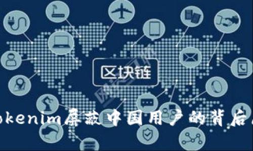 2025年必看：Tokenim屏蔽中国用户的背后原因及影响分析