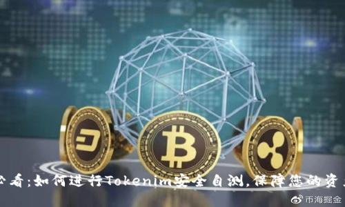 2025必看：如何进行Tokenim安全自测，保障您的资产安全！