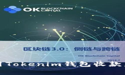 2025必看：如何使用Tokenim钱包收款，立即掌握最佳技巧！