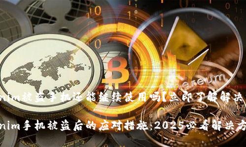 Tokenim被盗手机还能继续使用吗？立即了解解决方案！

Tokenim手机被盗后的应对措施：2025必看解决方案