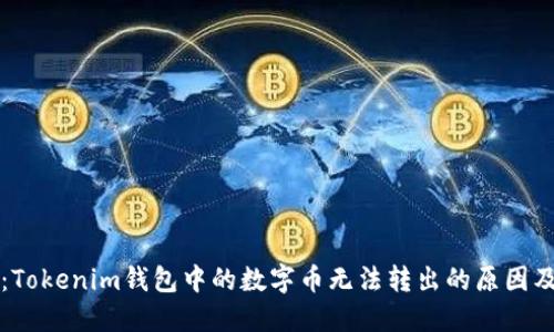 立即解决：Tokenim钱包中的数字币无法转出的原因及解决方案