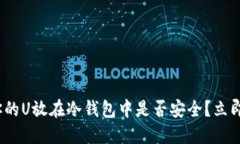 2025必看：将你的U放在冷钱包中是否安全？立即了