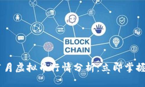 2023年11月虚拟币行情分析：立即掌握市场动态！