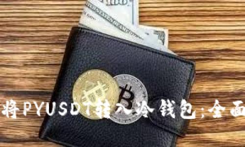 如何将PYUSDT转入冷钱包：全面指南