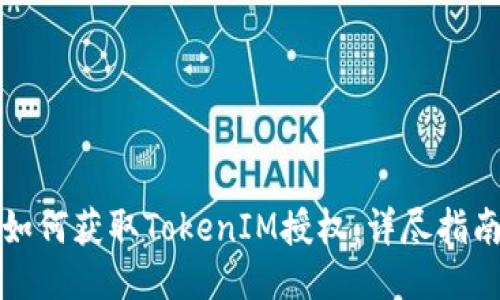 如何获取TokenIM授权：详尽指南