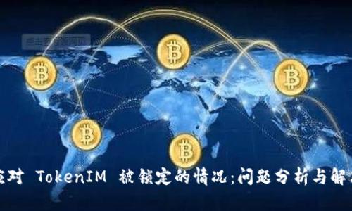 如何应对 TokenIM 被锁定的情况：问题分析与解决方案