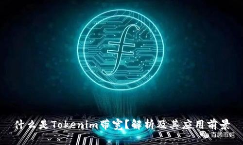 什么是Tokenim带宽？解析及其应用前景