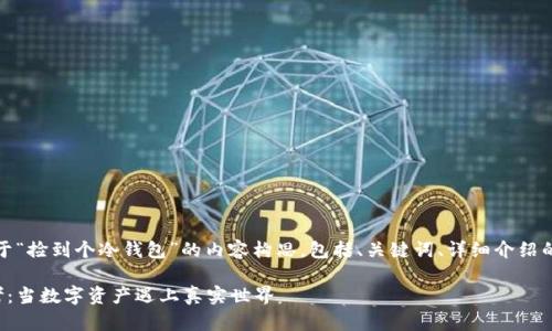 在这里，我为你提供一个关于“捡到个冷钱包”的内容构思，包括、关键词、详细介绍的框架以及相关问题的探讨。

捡到个冷钱包的经历与思考：当数字资产遇上真实世界
