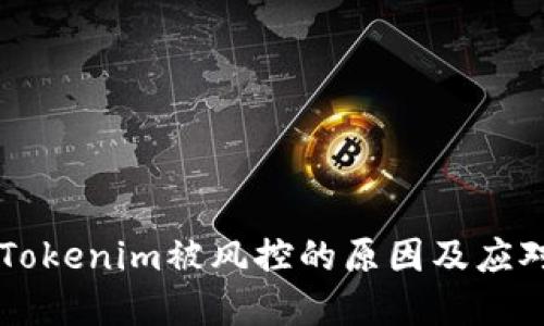 了解Tokenim被风控的原因及应对策略